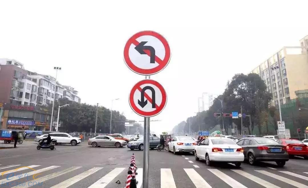 網友提問：電子駕照可換照片？行人橫穿馬路被撞，責任如何劃分？
